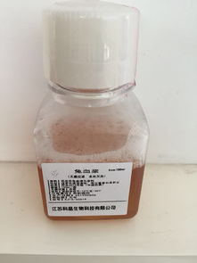 其它 價格 采購 供應商信息