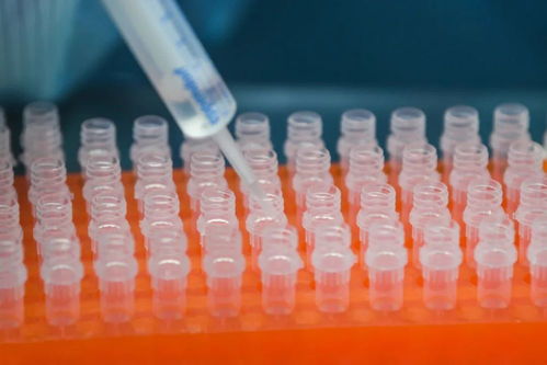 科研成果轉(zhuǎn)化,不能只摘桃不種桃