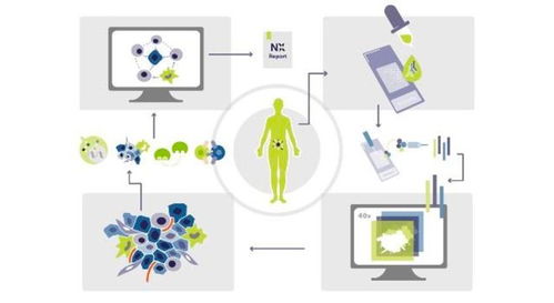 瑞士生物科技公司Navignostics 利用單細(xì)胞空間蛋白質(zhì)組學(xué)重塑腫瘤精準(zhǔn)治療